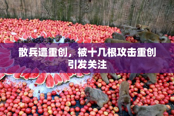 散兵遭重创，被十几根攻击重创引发关注