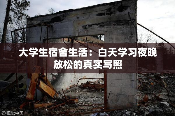 大学生宿舍生活：白天学习夜晚放松的真实写照