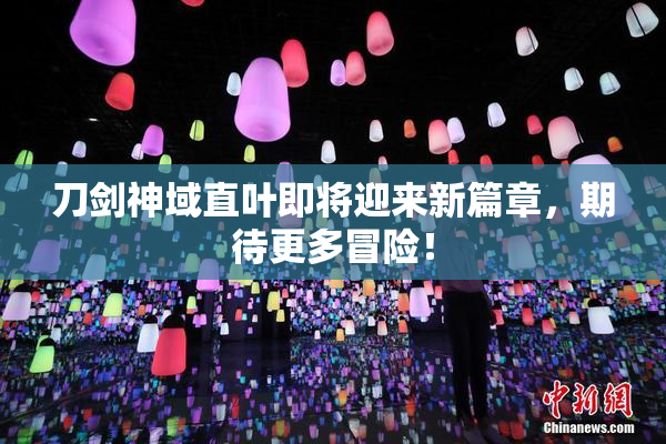 刀剑神域直叶即将迎来新篇章，期待更多冒险！