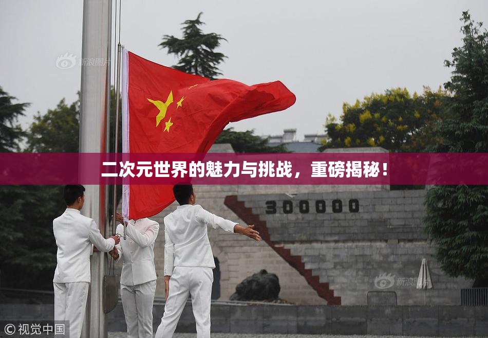 二次元世界的魅力与挑战，重磅揭秘！