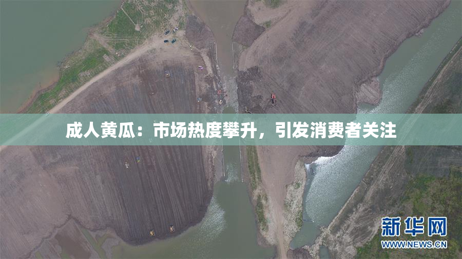 成人黄瓜：市场热度攀升，引发消费者关注