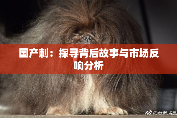 国产刺：探寻背后故事与市场反响分析