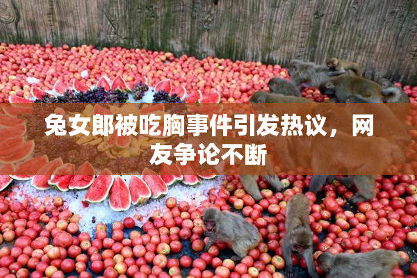 兔女郎被吃胸事件引发热议，网友争论不断
