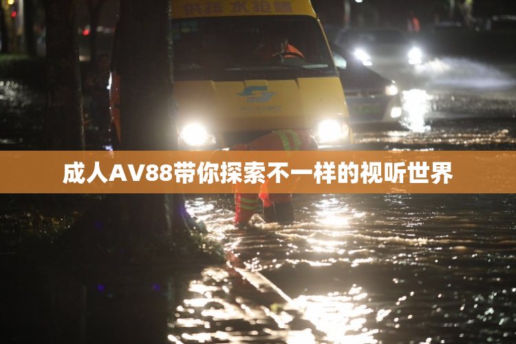 成人AV88带你探索不一样的视听世界