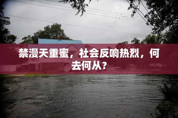 禁漫天重蜜，社会反响热烈，何去何从？