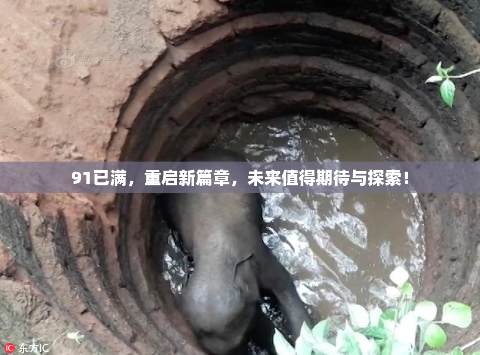 91已满，重启新篇章，未来值得期待与探索！