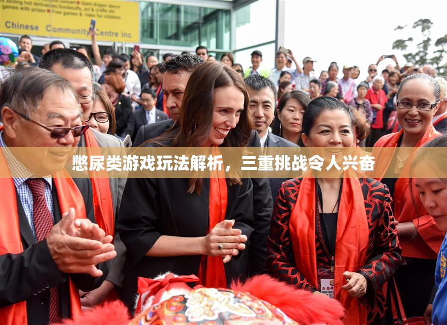 憋尿类游戏玩法解析，三重挑战令人兴奋