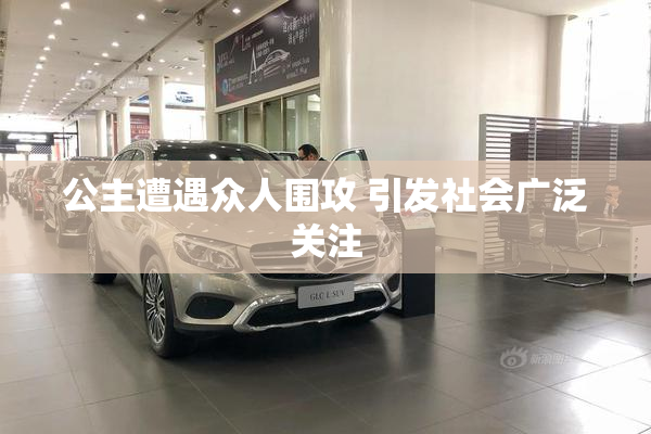 公主遭遇众人围攻 引发社会广泛关注