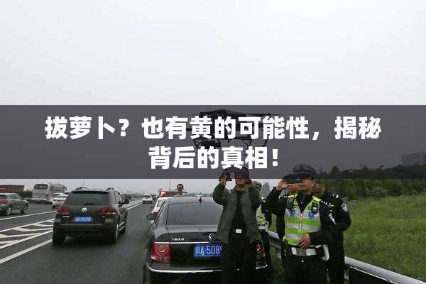 拔萝卜？也有黄的可能性，揭秘背后的真相！