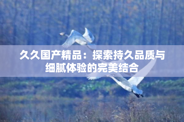 久久国产精品：探索持久品质与细腻体验的完美结合