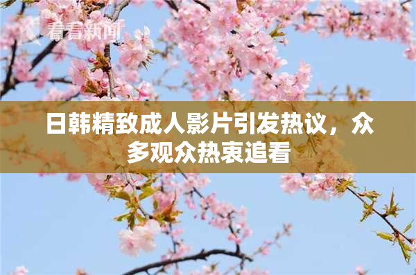 日韩精致成人影片引发热议，众多观众热衷追看