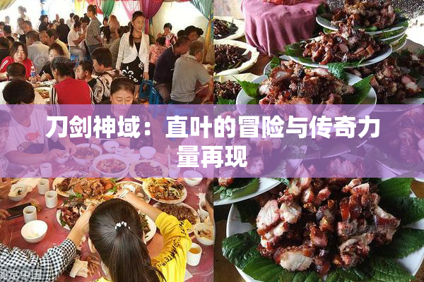 刀剑神域：直叶的冒险与传奇力量再现