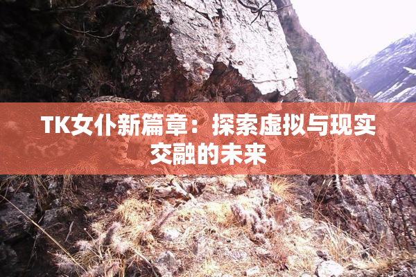 TK女仆新篇章：探索虚拟与现实交融的未来