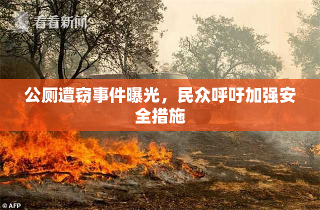公厕遭窃事件曝光，民众呼吁加强安全措施