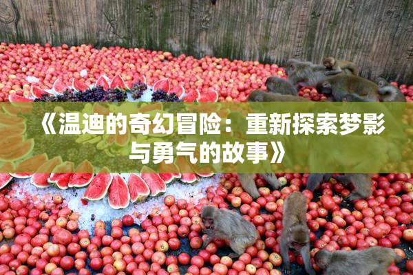 《温迪的奇幻冒险：重新探索梦影与勇气的故事》