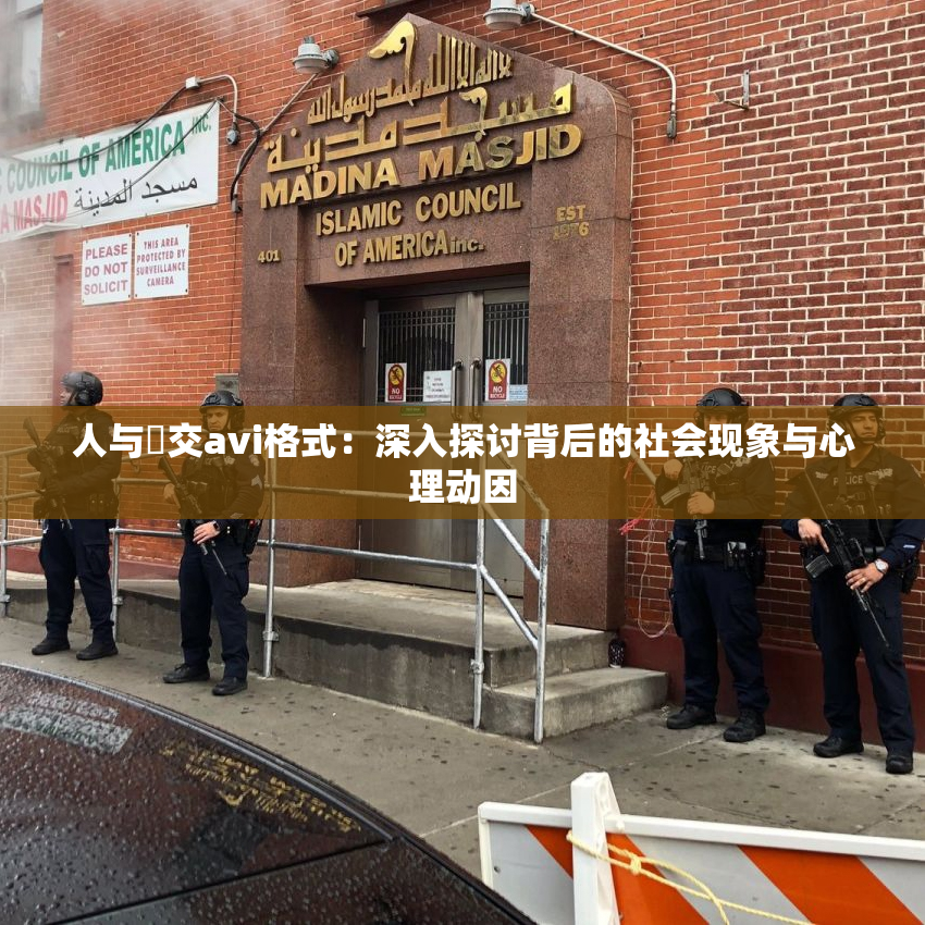 人与嘼交avi格式：深入探讨背后的社会现象与心理动因