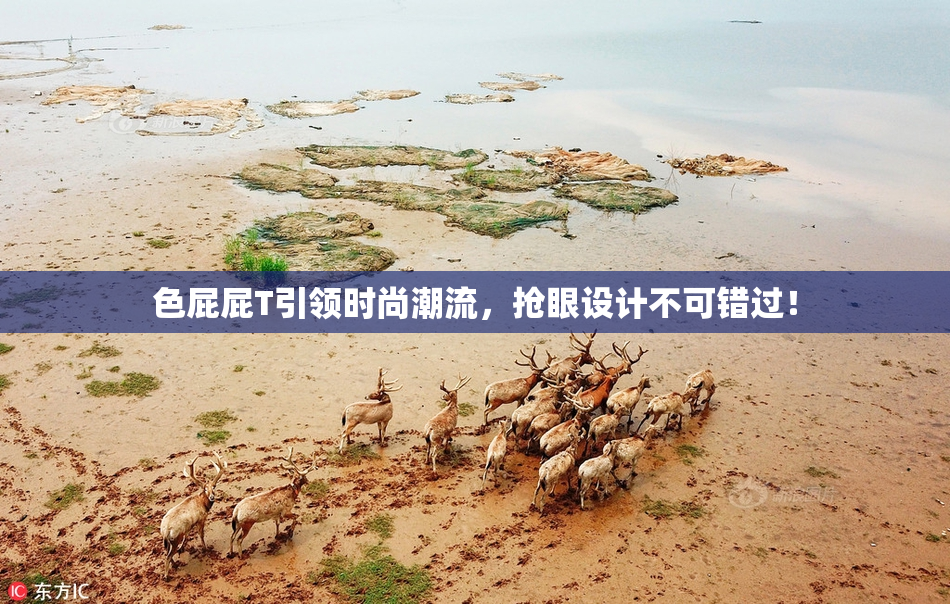色屁屁T引领时尚潮流，抢眼设计不可错过！