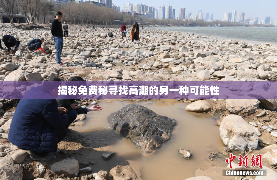 揭秘免费秘寻找高潮的另一种可能性