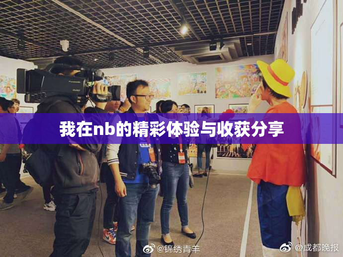 我在nb的精彩体验与收获分享