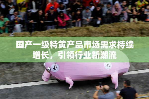 国产一级特黄产品市场需求持续增长，引领行业新潮流
