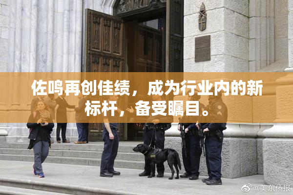 佐鸣再创佳绩，成为行业内的新标杆，备受瞩目。