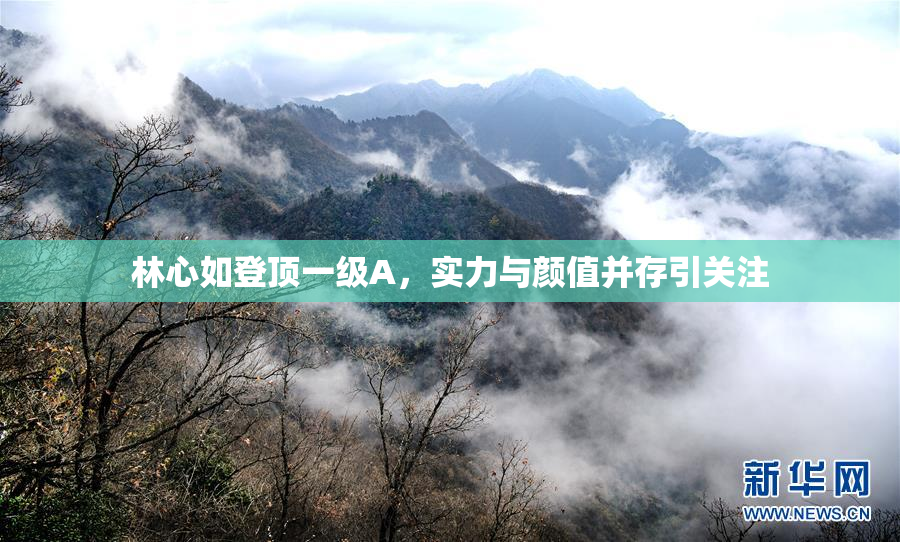 林心如登顶一级A，实力与颜值并存引关注