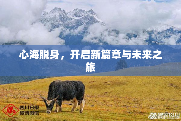 心海脱身，开启新篇章与未来之旅