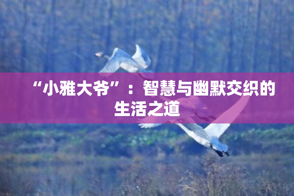 “小雅大爷”：智慧与幽默交织的生活之道