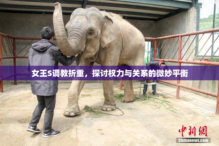 女王S调教折重，探讨权力与关系的微妙平衡