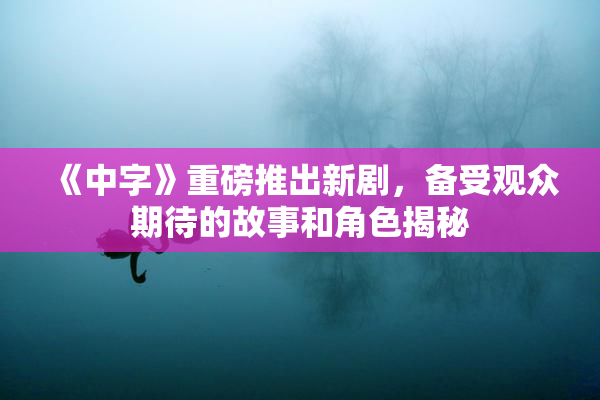《中字》重磅推出新剧，备受观众期待的故事和角色揭秘