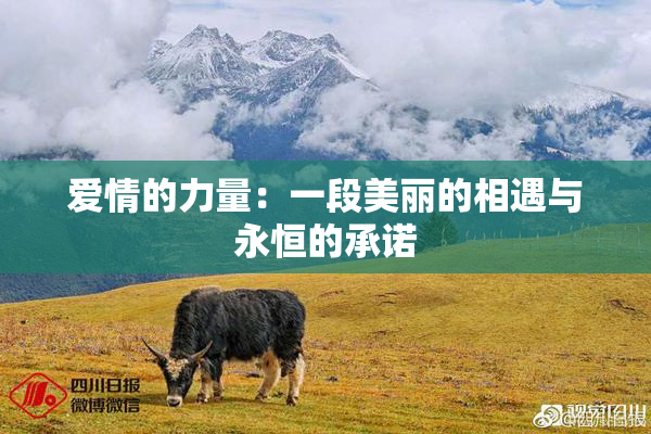 爱情的力量：一段美丽的相遇与永恒的承诺