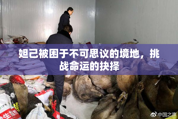 妲己被困于不可思议的境地，挑战命运的抉择