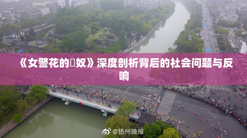 《女警花的婬奴》深度剖析背后的社会问题与反响