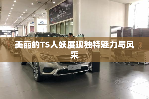 美丽的TS人妖展现独特魅力与风采