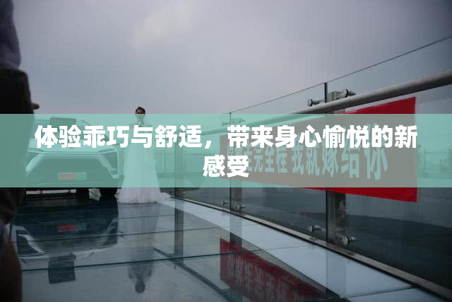 体验乖巧与舒适，带来身心愉悦的新感受