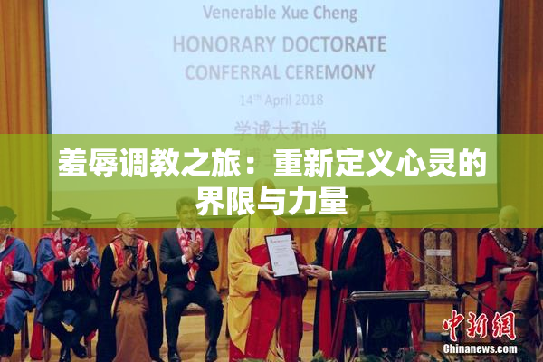 羞辱调教之旅：重新定义心灵的界限与力量