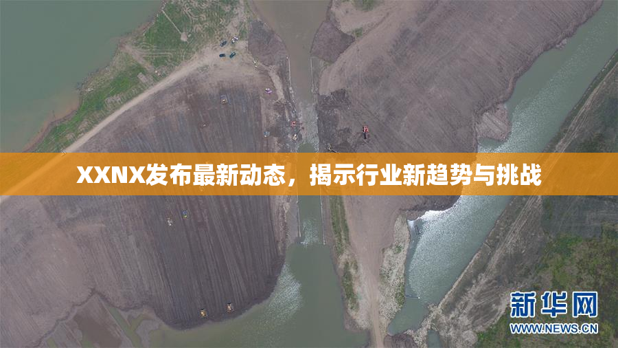 XXNX发布最新动态，揭示行业新趋势与挑战