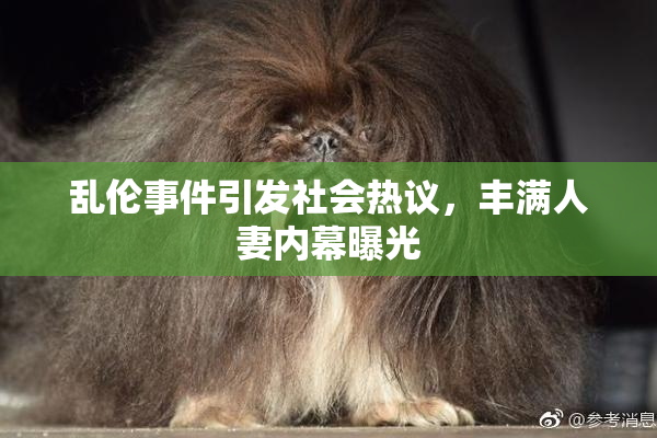 乱伦事件引发社会热议，丰满人妻内幕曝光
