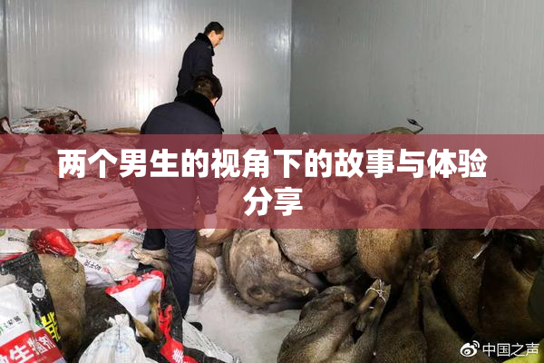 两个男生的视角下的故事与体验分享