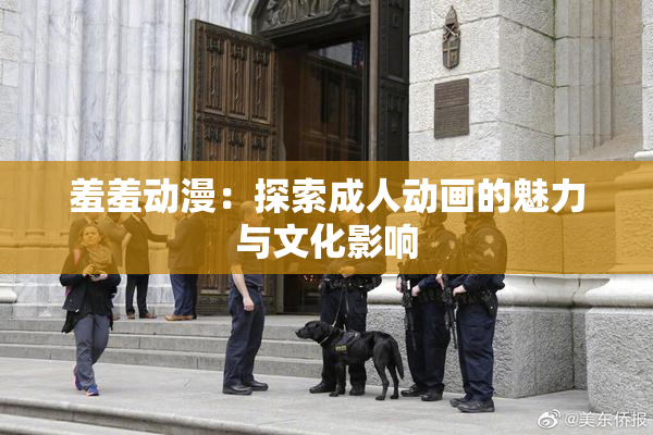 羞羞动漫：探索成人动画的魅力与文化影响