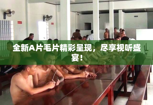 全新A片毛片精彩呈现，尽享视听盛宴！