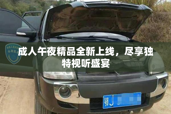 成人午夜精品全新上线，尽享独特视听盛宴