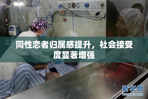 同性恋者归属感提升，社会接受度显著增强