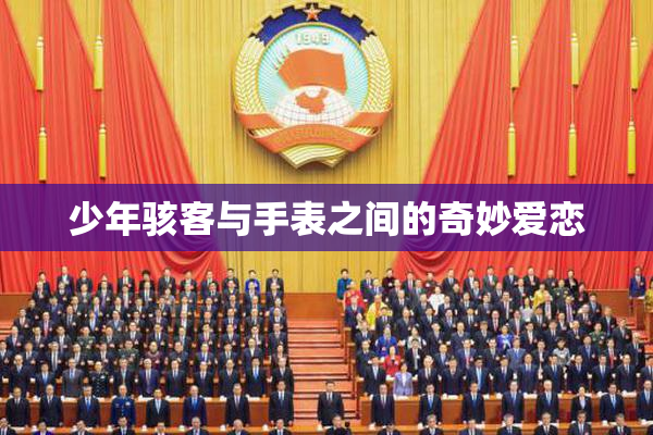 少年骇客与手表之间的奇妙爱恋