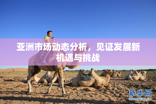 亚洲市场动态分析，见证发展新机遇与挑战