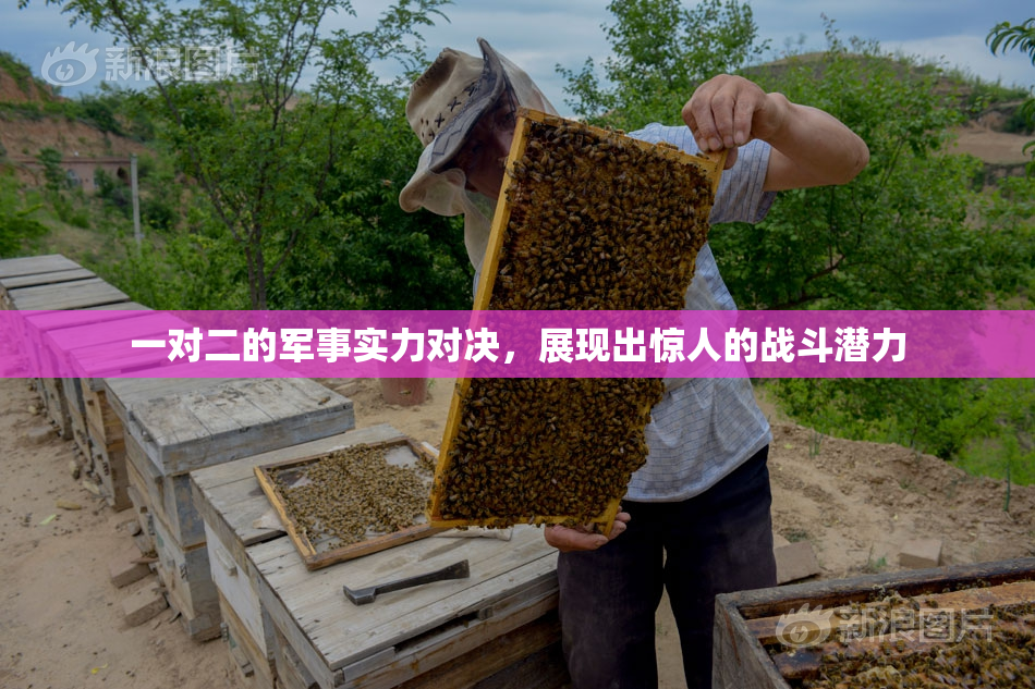 一对二的军事实力对决，展现出惊人的战斗潜力