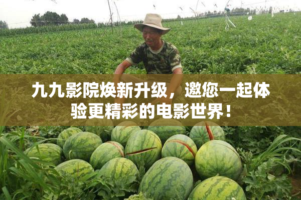 九九影院焕新升级，邀您一起体验更精彩的电影世界！
