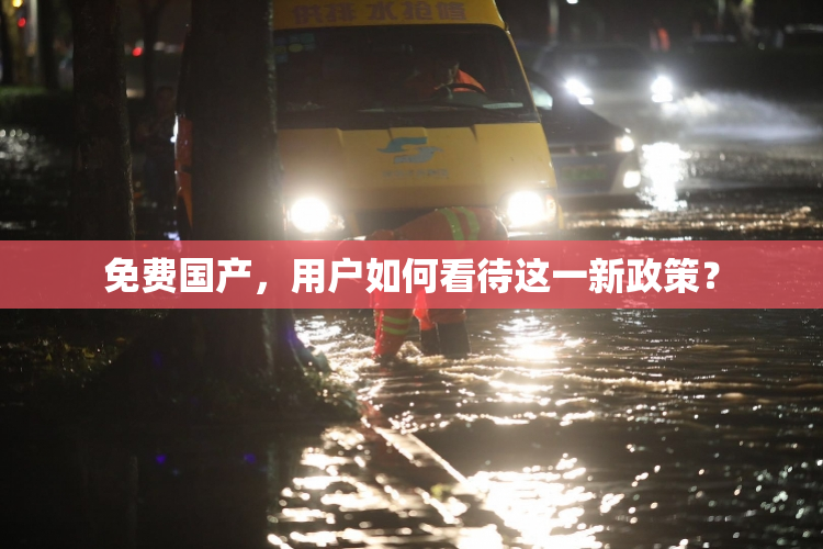 免费国产，用户如何看待这一新政策？