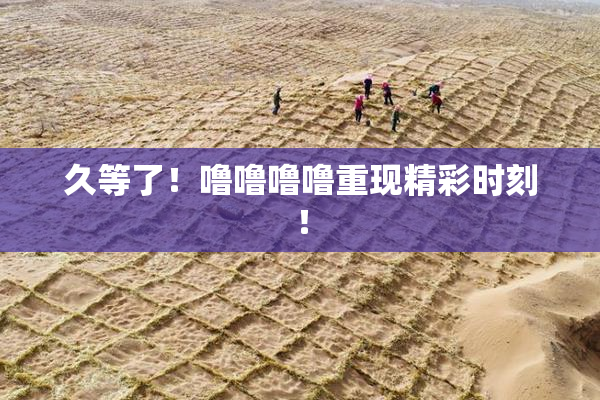 久等了！噜噜噜噜重现精彩时刻！