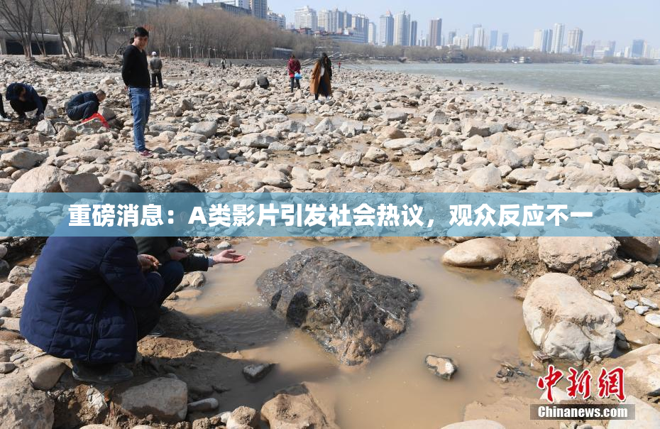 重磅消息：A类影片引发社会热议，观众反应不一
